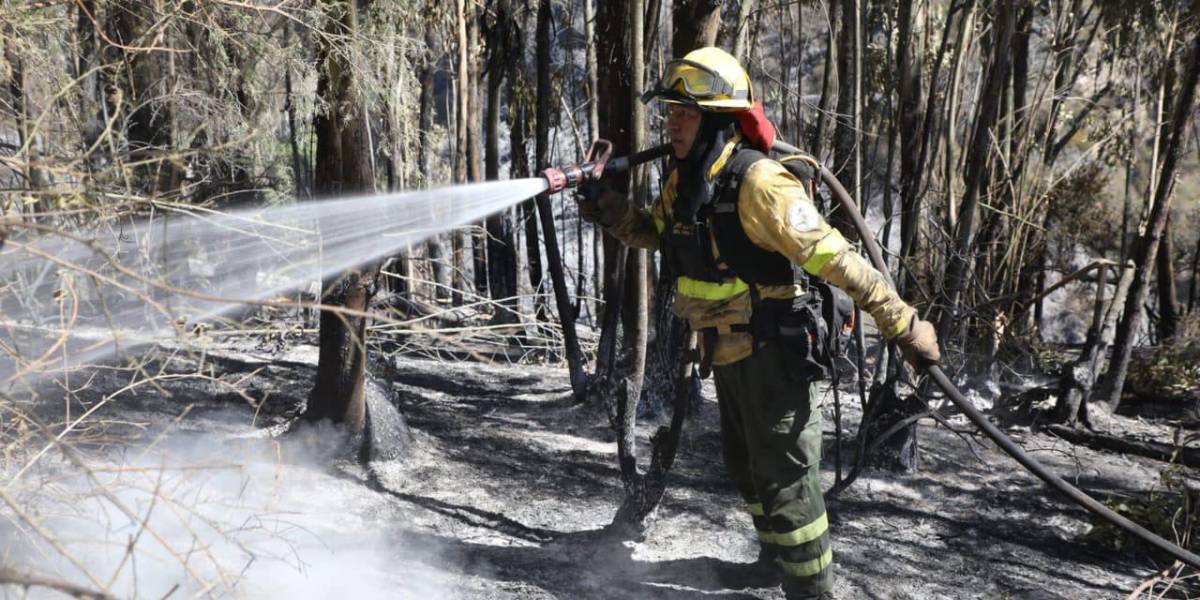 Incendios forestales Quito: 17 eventos fueron sofocados por los Bomberos, el 7 de septiembre