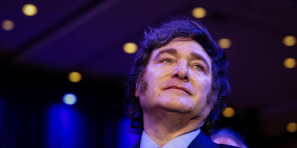 Javier Milei dice que se podrían imputar delitos y juzgar a niños de 10 años