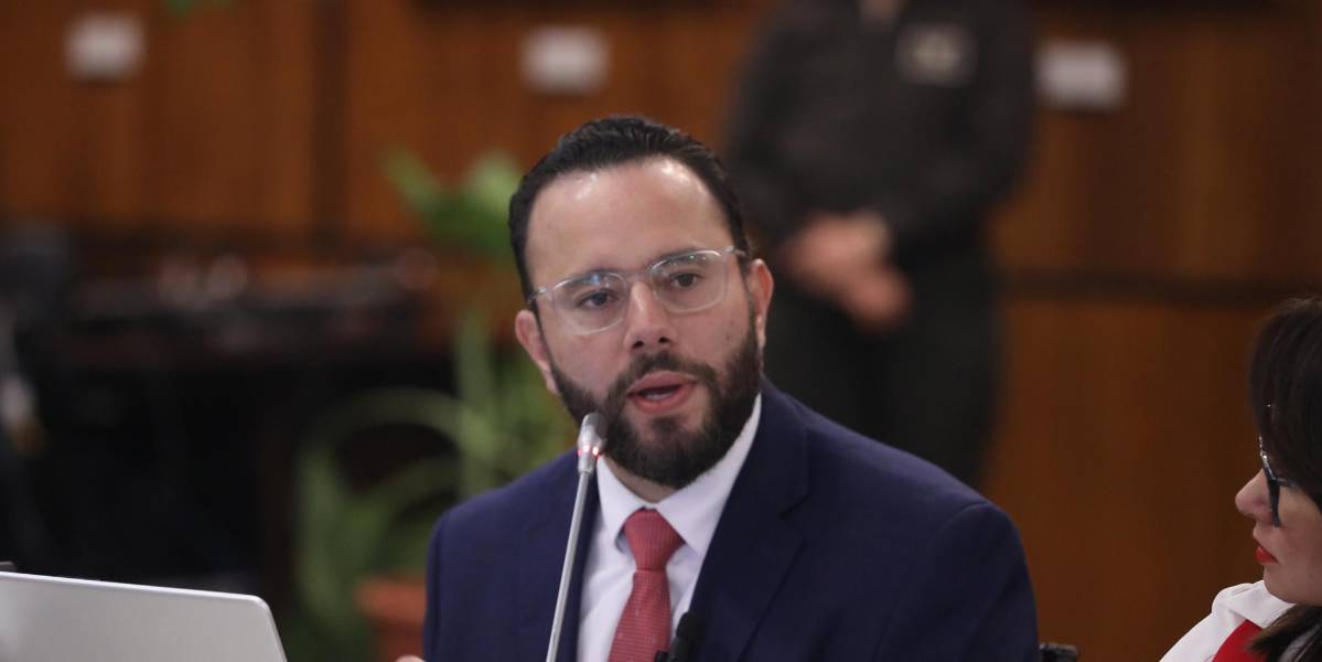 ADN intenta destituir a Gonzalo Albán, del Cpccs, con tres argumentos débiles