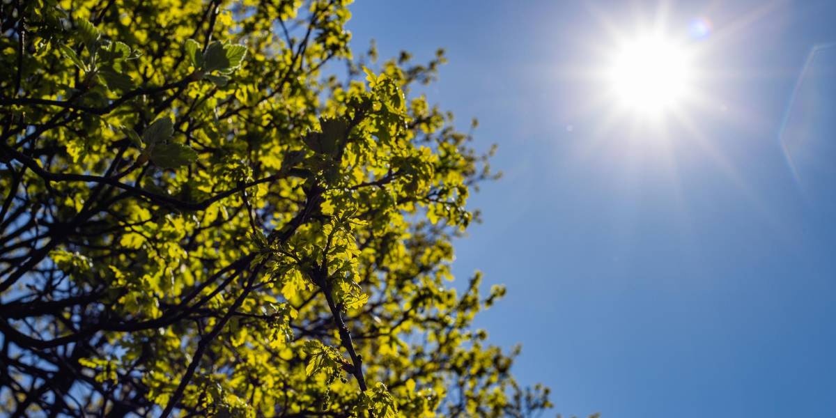 La temperatura diurna será alta en todas las regiones de Ecuador, hasta el 7 de diciembre