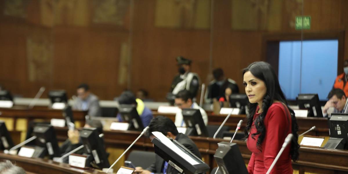 Yeseña Guamaní fue destituida como Segunda Vicepresidenta de la Asamblea Nacional