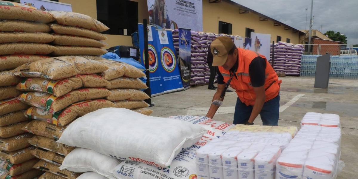 Bolivia mandará 70 toneladas de ayuda a Chile por los incendios