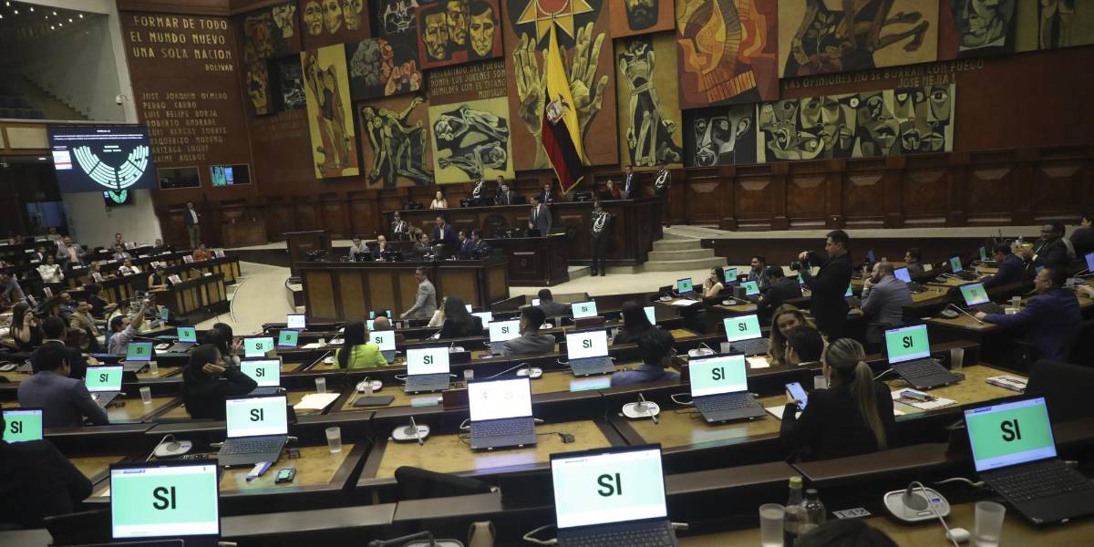 En la Asamblea se archivó el proyecto de Ley Orgánica Regulatoria de las Expresiones Gráficas Callejeras Urbanas