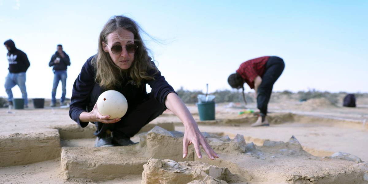 Huevos de avestruz de hace más de 4.000 años fueron encontrados en Israel