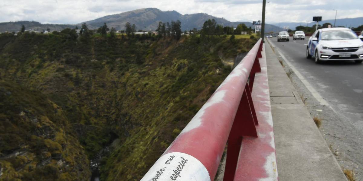 La cruzada en Quito para evitar los suicidios desde los puentes