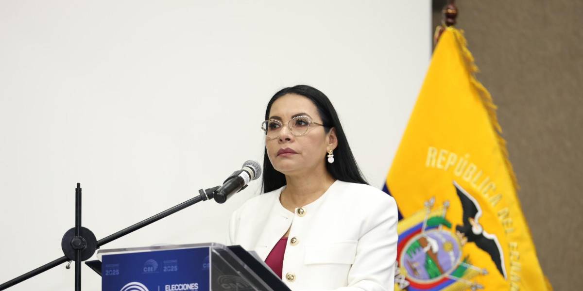 El CNE decidirá si convocatoria a una Asamblea Constituyente se incluye en consulta popular