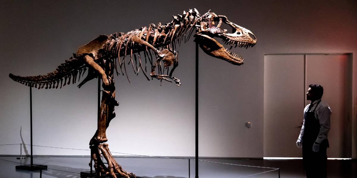 Subastan dinosaurio de hace 76 millones de años