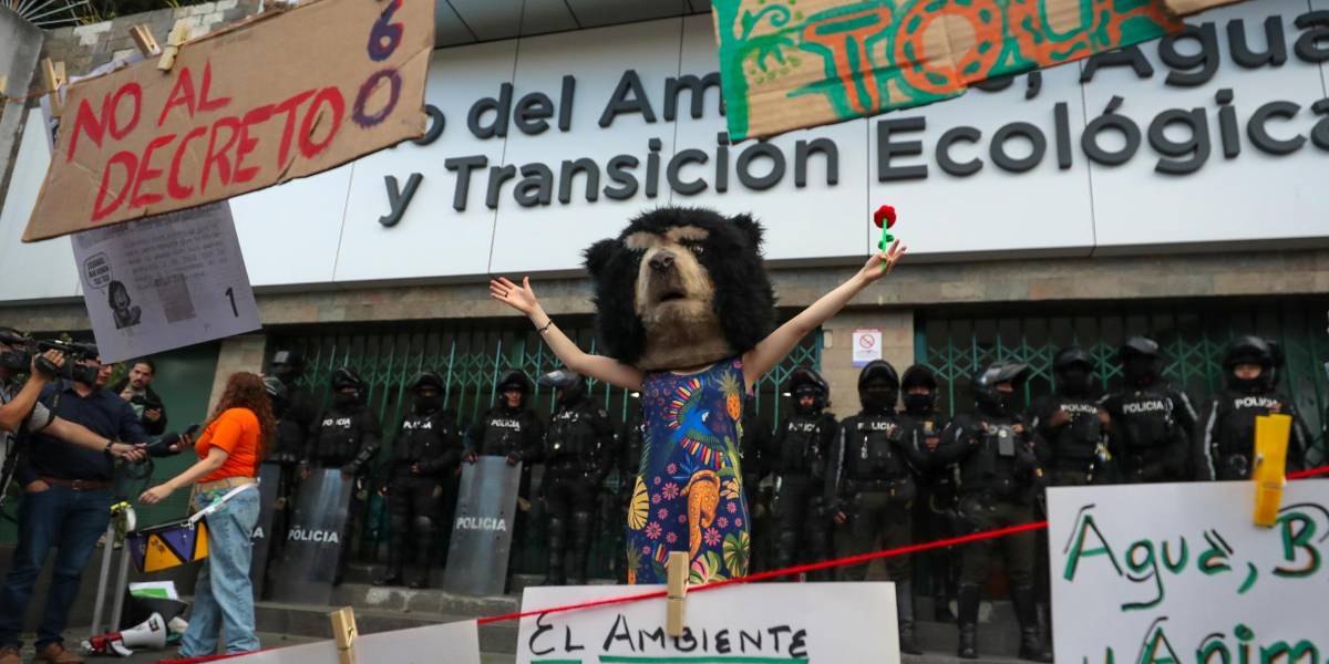 Los grupos feministas y ambientalistas vuelven a marchar en contra de los recortes de Daniel Noboa