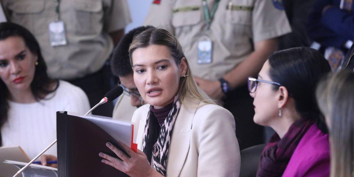 Sade Fritschi se escudó en sus viceministros para comparecer en la Comisión de Biodiversidad