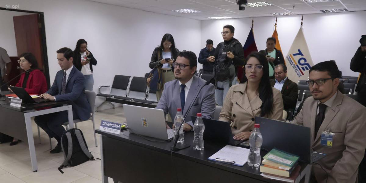 TCE: la defensa de Gabriela Sommerfeld asegura que Verónica Abad buscó separarla de la Cancillería