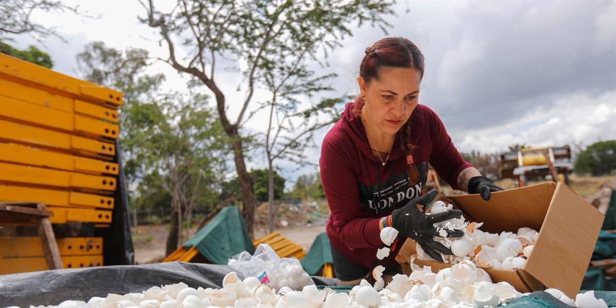 Limpian uno de los ríos más contaminados de México con cáscaras de huevo