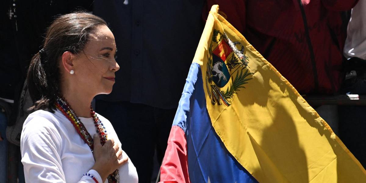 La oposición venezolana agradece a Ecuador y 10 países por rechazar el respaldo del Tribunal Supremo a Maduro