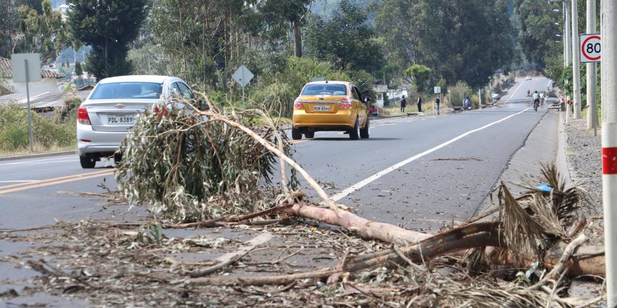 Gobierno e indígenas, ¡sean serios!