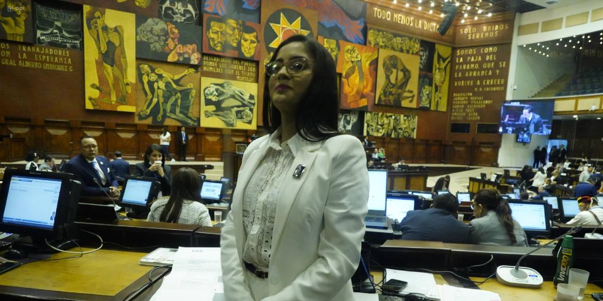 Juicio político a Guillermo Lasso: ¿Quién es Viviana Veloz, la primera interpelante del presidente?