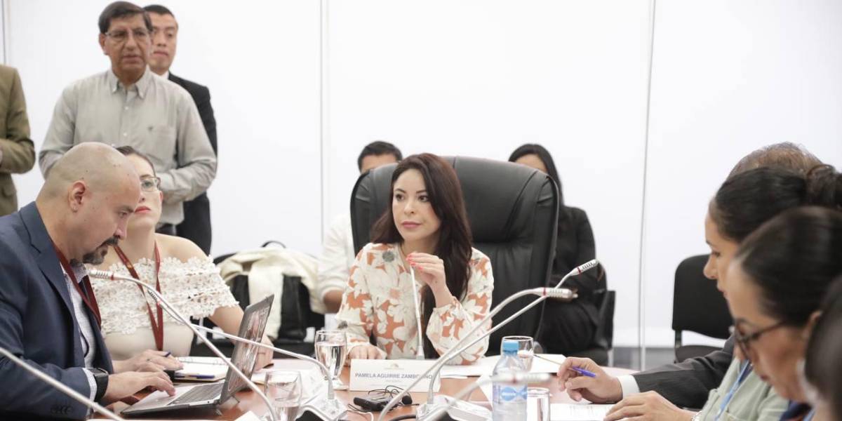 Dos comisiones de la Asamblea se disputan la comparecencia de ministros por la irrupción en la Embajada de México