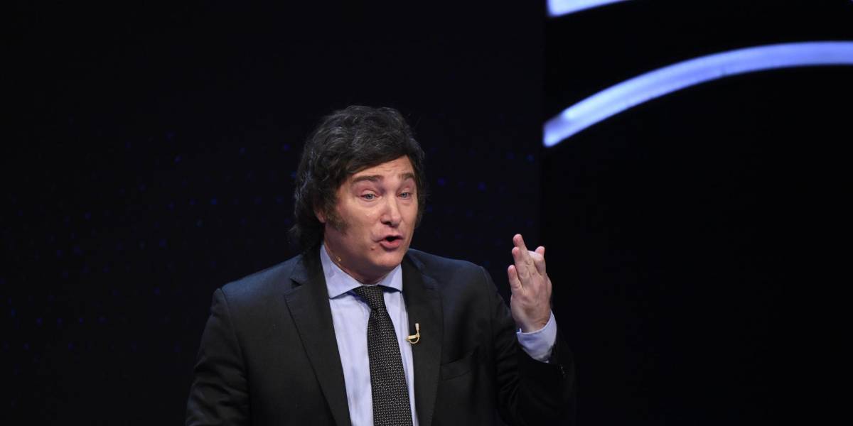 El proyecto oficialista para derogar la ley del aborto no es parte de la agenda de Milei