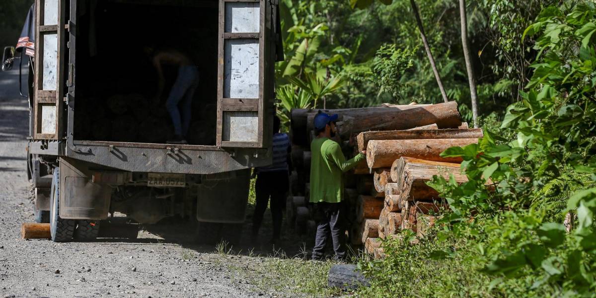 Ecuador prepara una norma para certificar a los productos libres de deforestación