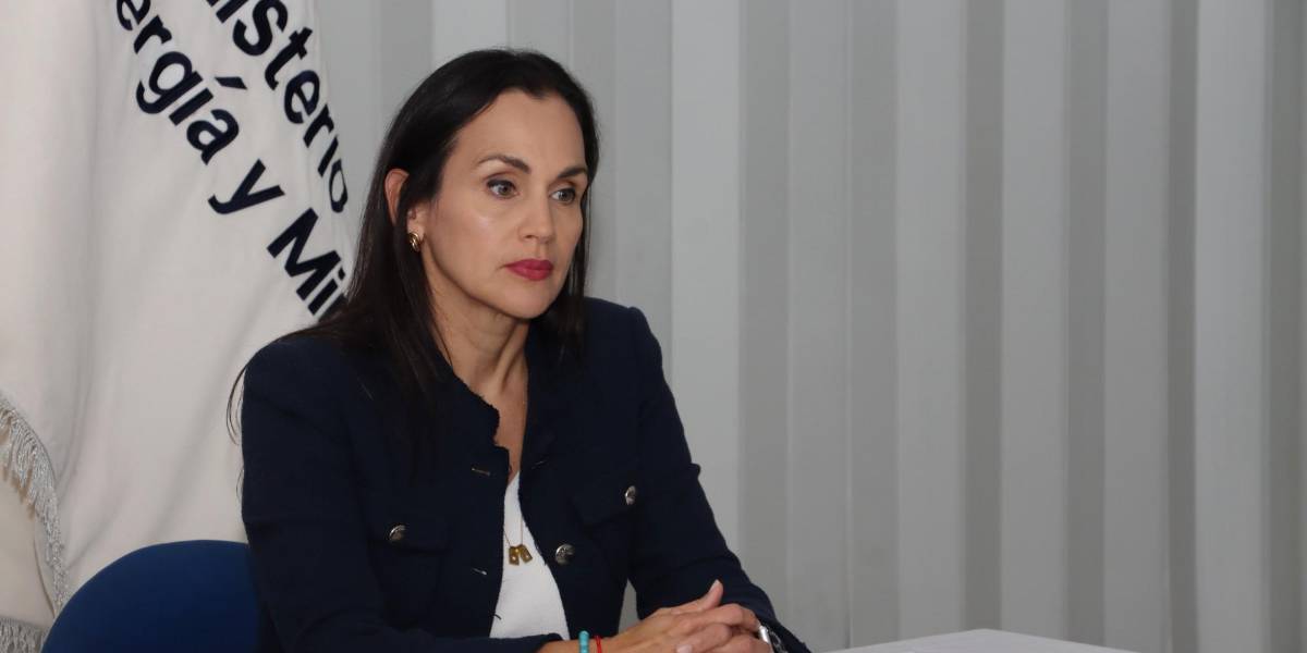 Inés Manzano dice que en los próximos días se conocerá si se concesionó el campo Sacha