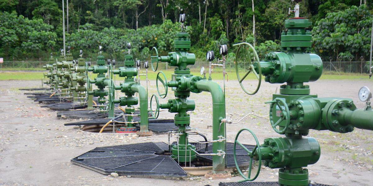 La crisis energética no solo es eléctrica: Ecuador ha percibido USD 126 millones menos en ingresos petroleros en 2024