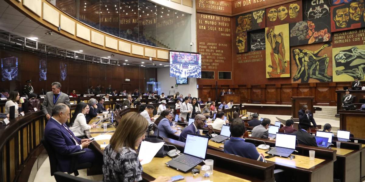 El proyecto de Ley de Transparencia Social recibe observaciones de relatora especial de la ONU