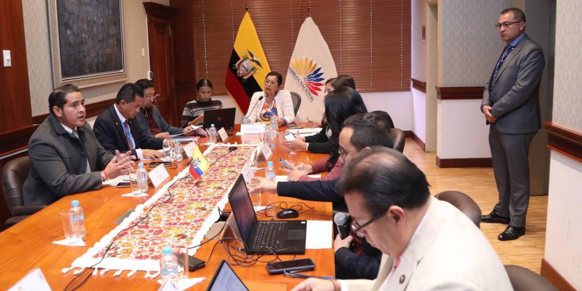 CAL califica la denuncia contra Guamaní; no alcanzan los votos contra Saquicela