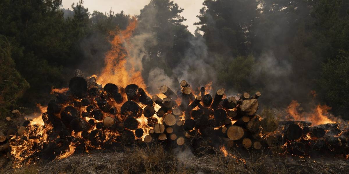 Alerta de incendios en Chile por ola extrema de calor