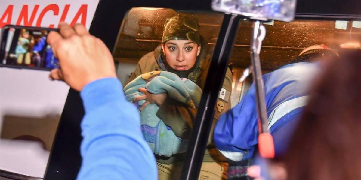Migrantes ecuatorianos y de otras naciones habrían sido secuestrados en México con la complicidad de choferes de una misma línea de buses