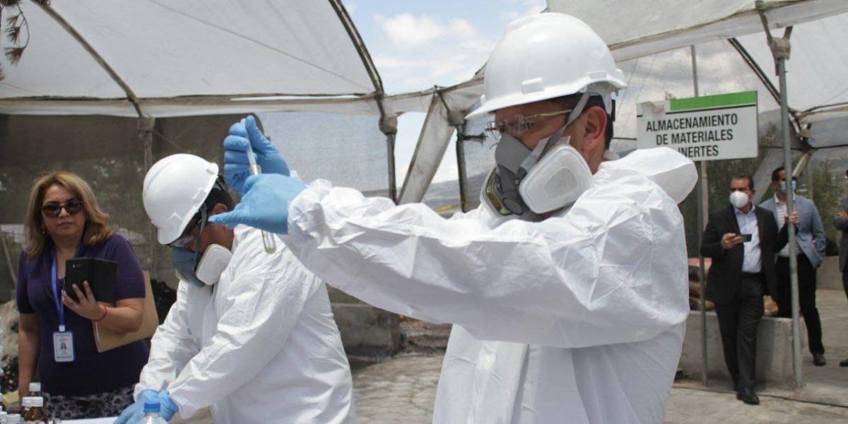 Nueve toneladas de droga fueron destruidas este 21 de octubre