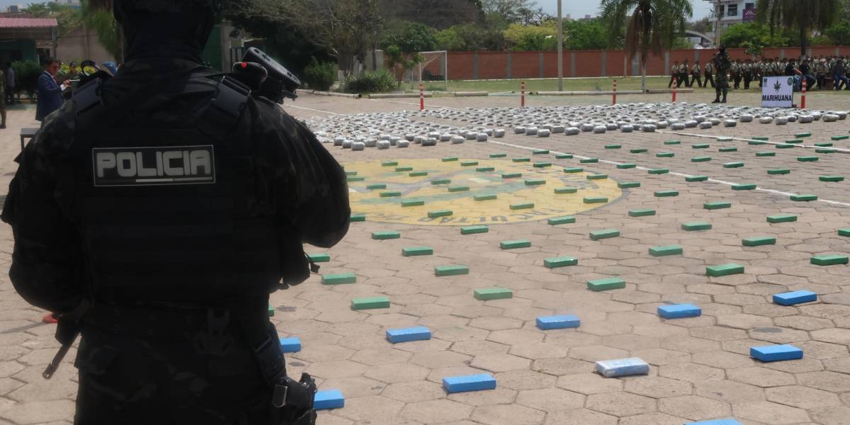 Bolivia: Decomisan casi 600 kilos de cocaína y marihuana en tres operaciones antidrogas