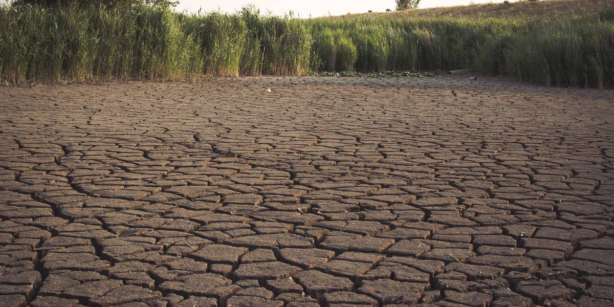 Expertos advierten crisis alimentaria en el mundo