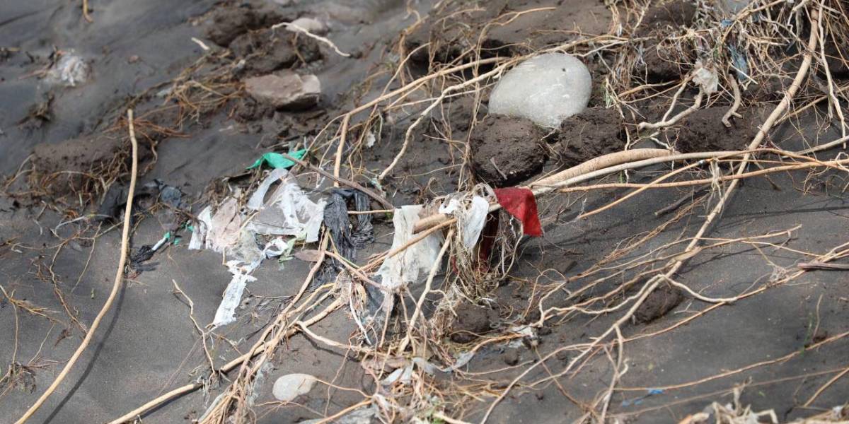 El Proyecto Azure busca reducir la contaminación plástica en el río San Pedro de Quito