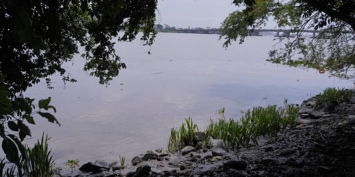 La turbulencia del río Daule deja sin agua potable a La Puntilla y La Aurora