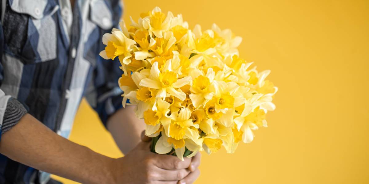 ¿Por qué se regalan flores amarillas cada 21 de marzo?, una tradición viral en rede sociales