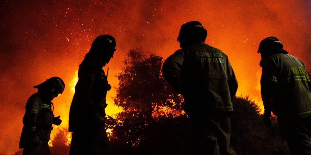 Ecuador enviará bomberos para apoyar combate de incendios en Chile