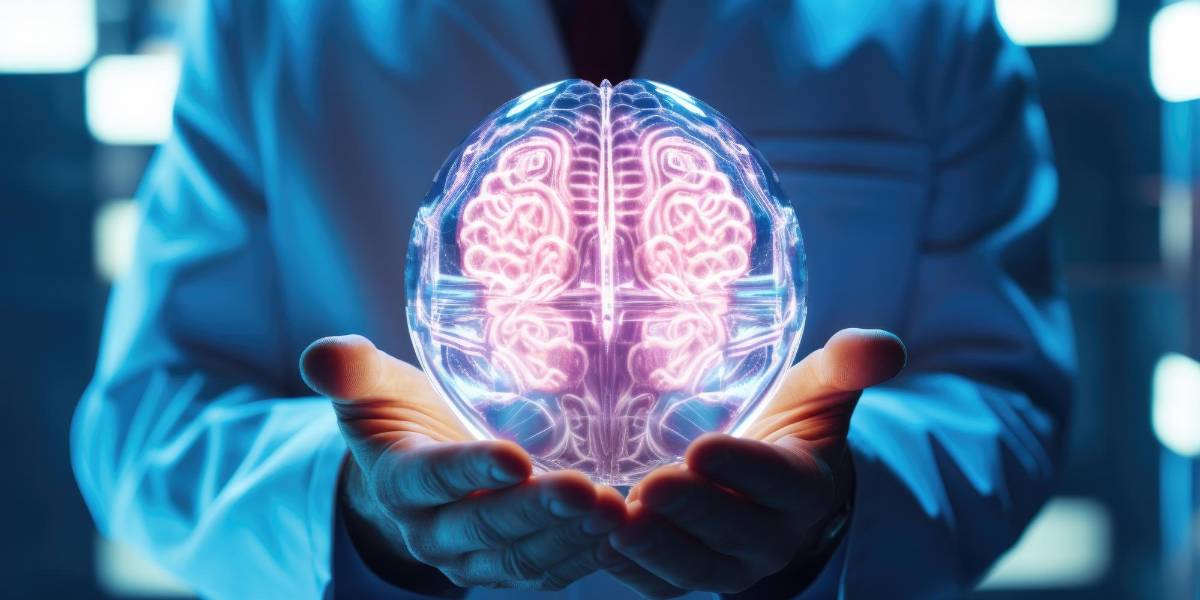 Estas son las razones por las que se ha reducido el tamaño del cerebro humano, según la ciencia