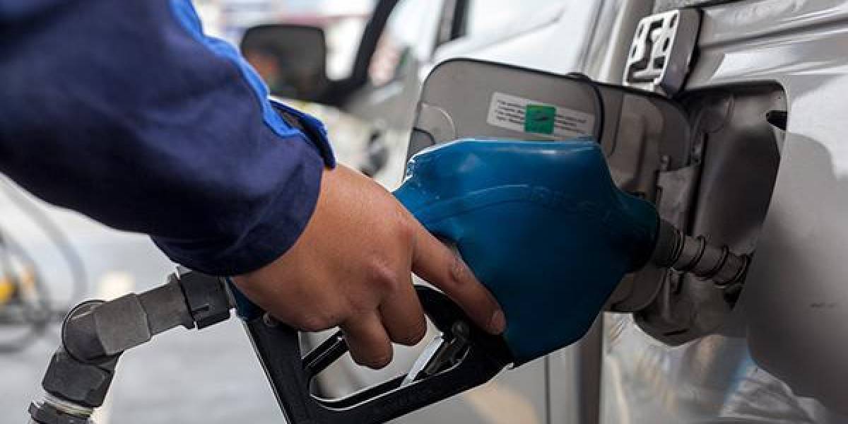Combustibles: ¿es momento de focalizar el subsidio?