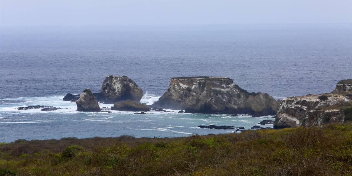 Restaurar ecosistemas y mejorar condiciones de vida en Galápagos, metas de millonario apoyo del Fondo Verde