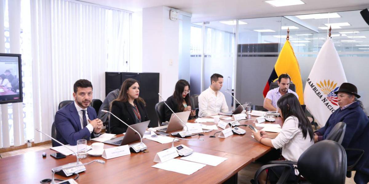 Una reforma a la Ley de Movilidad Humana busca reducir la edad para ser Embajador