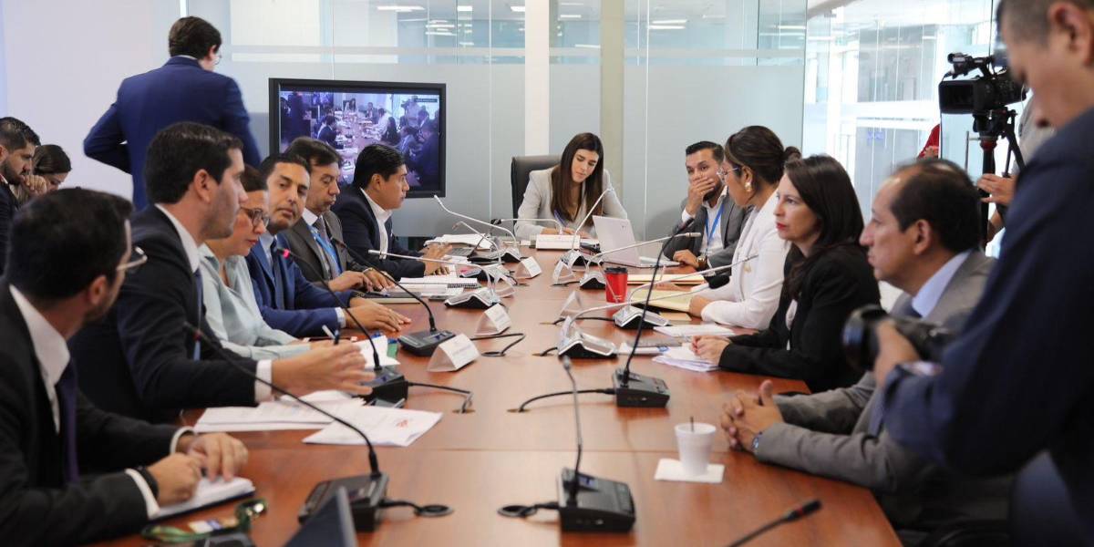 Artículos no consensuados se incluyeron en informe para segundo debate de la Ley de Turismo, aseguran legisladores del PSC y correísmo