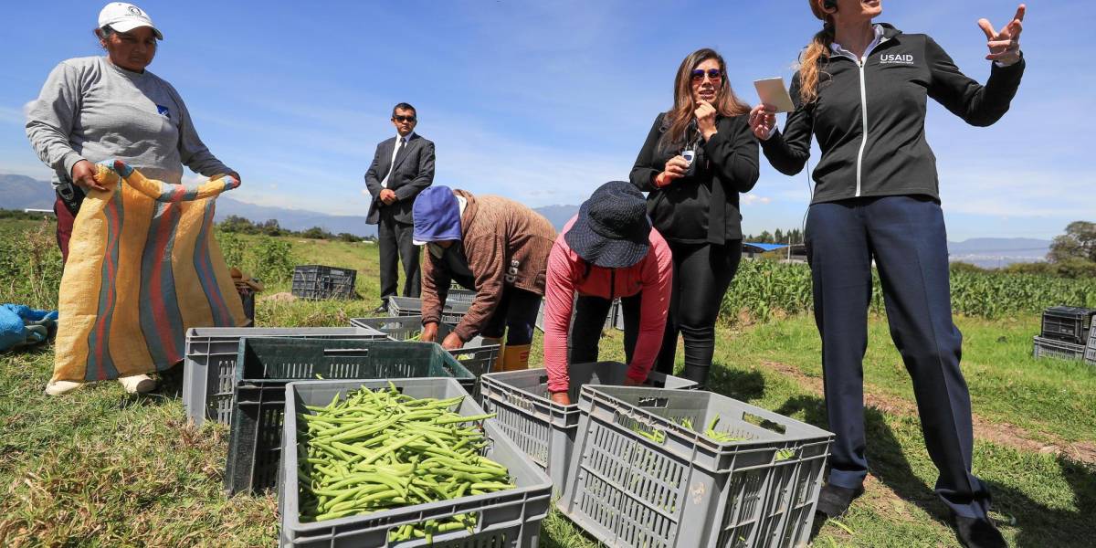 800 pequeños agricultores de Ecuador se beneficiarán de la nueva iniciativa de EE.UU. enfocada en incrementar los ingresos