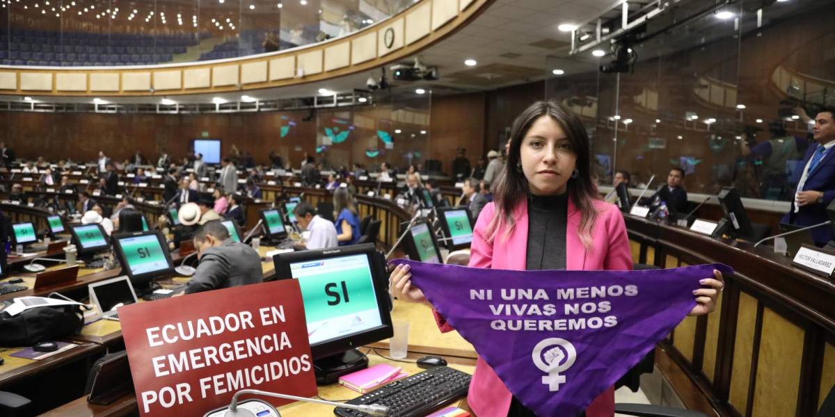 La Asamblea exhorta al Gobierno a declarar en emergencia el sistema para erradicar la violencia contra las mujeres