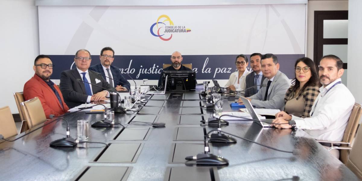 El Pleno de la Judicatura aprobó los perfiles para jueces de primer nivel y de cortes provinciales especializados en materia constitucional