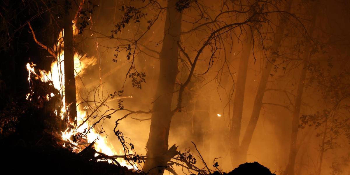 Sin control incendio en California que ha obligado al desalojo y el cierre de carreteras