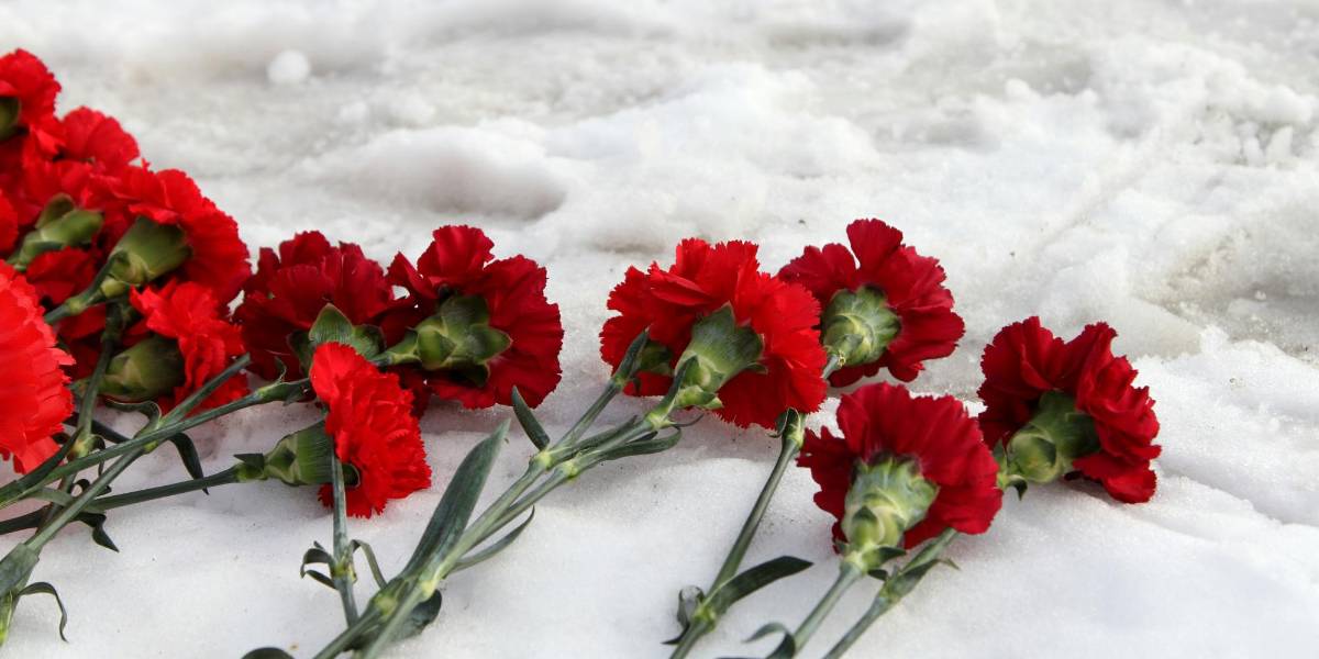 Rusia impondrá restricción total de importación de claveles ecuatorianos desde el 9 de febrero