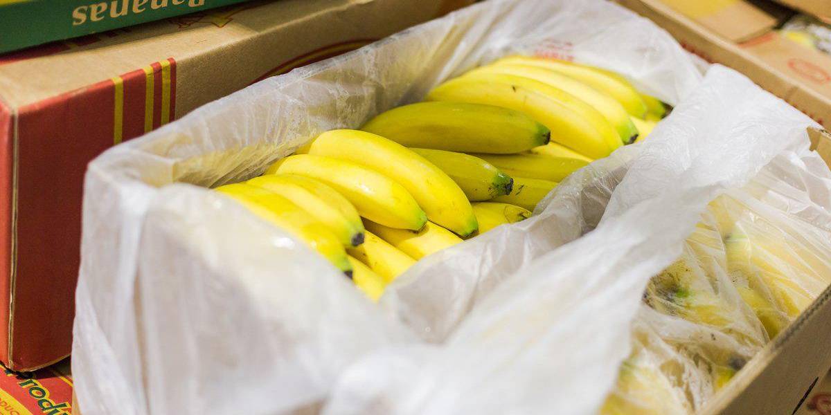 La guerra en Ucrania ya afecta las exportaciones de Ecuador a Rusia