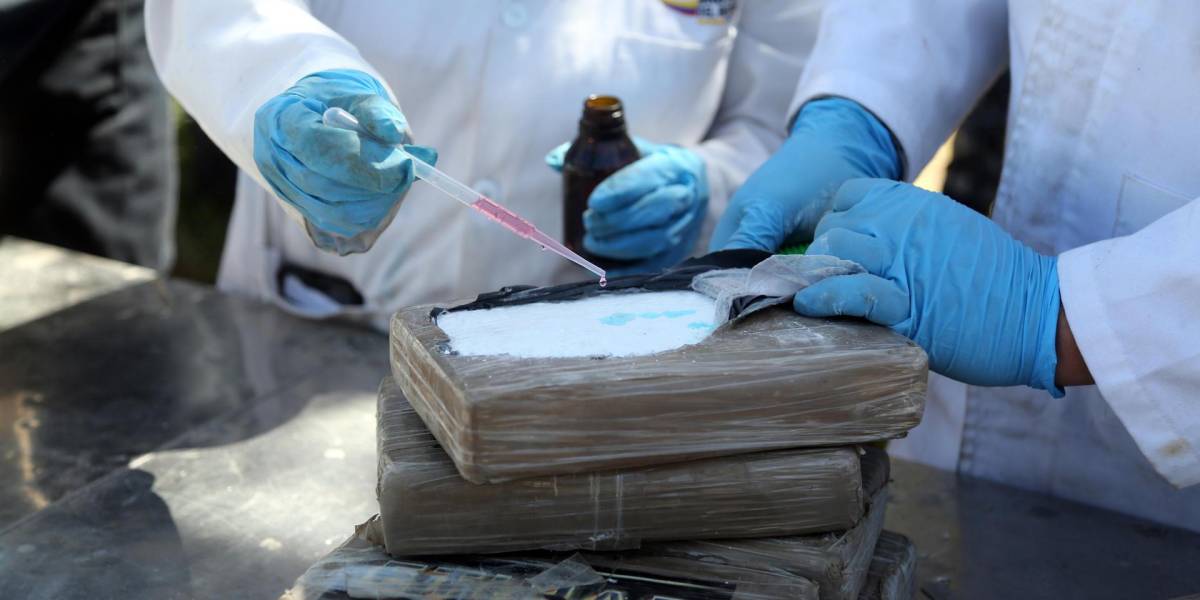 La Policía halla media tonelada de droga en cargamentos con destino a Israel, España y Bélgica