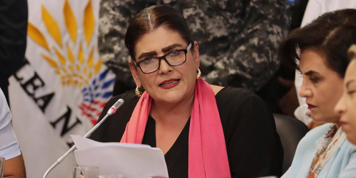 Juicio político a Juan Zapata | Asambleísta pide la comparecencia de Mónica Palencia, Juan Carlos Vega y otros