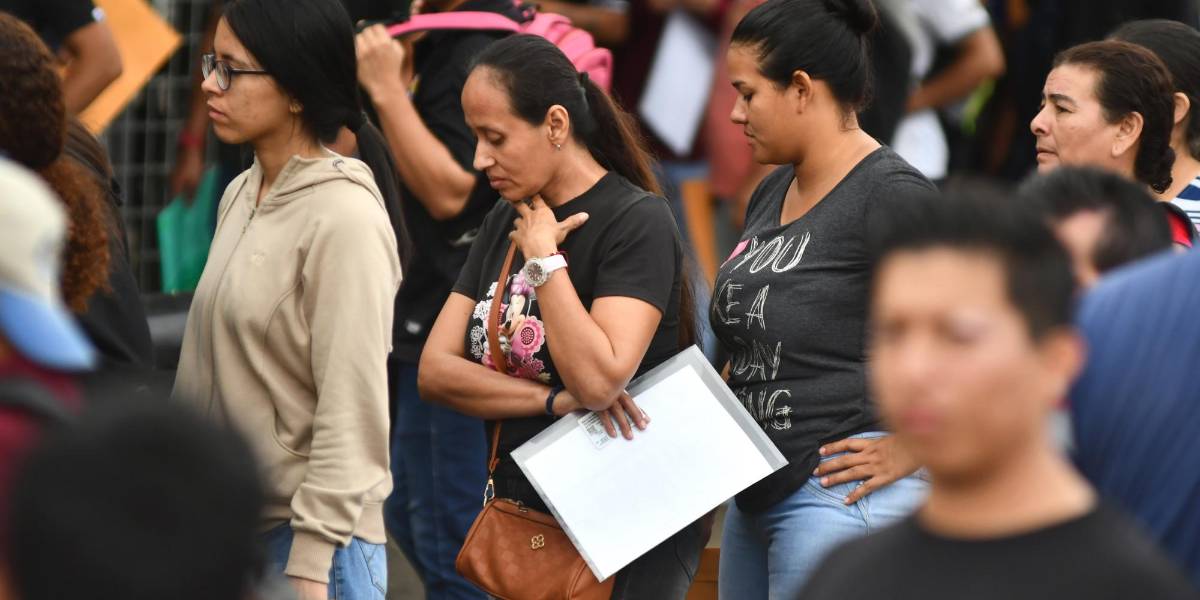 Empleo en Ecuador: 11 opciones laborales en crecimiento para personas sin título universitario