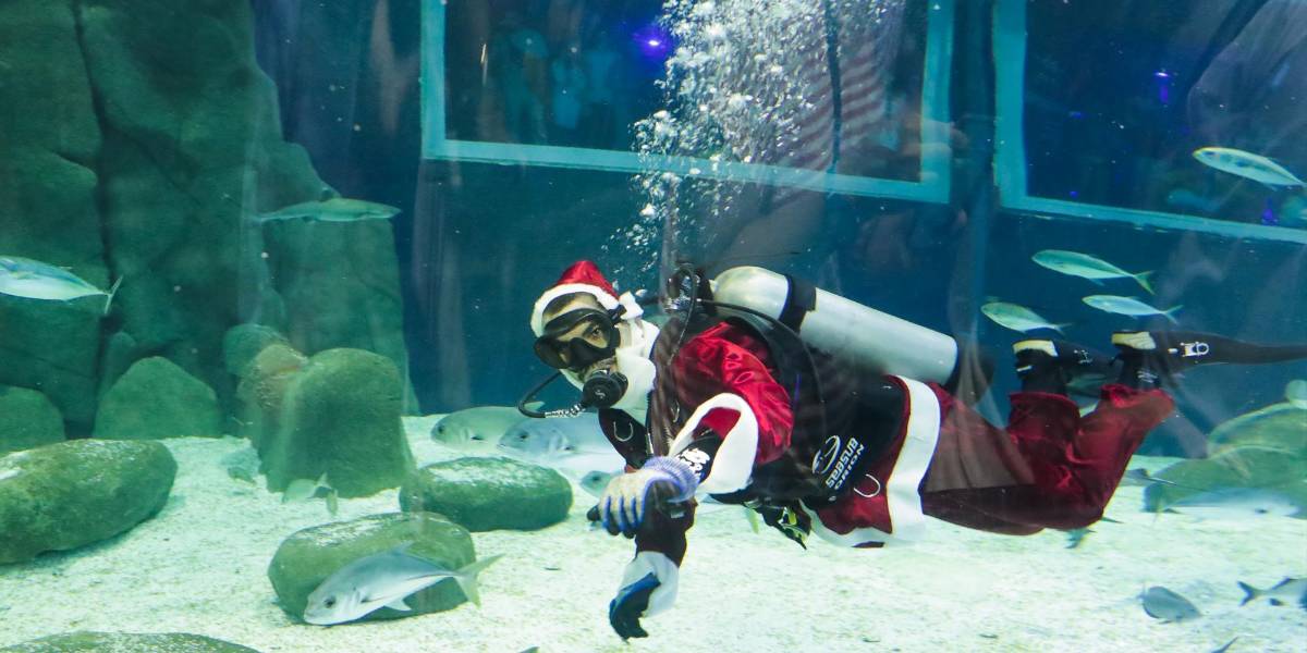 Navidad llega debajo del agua en Brasil gracias al Papá Noel buzo