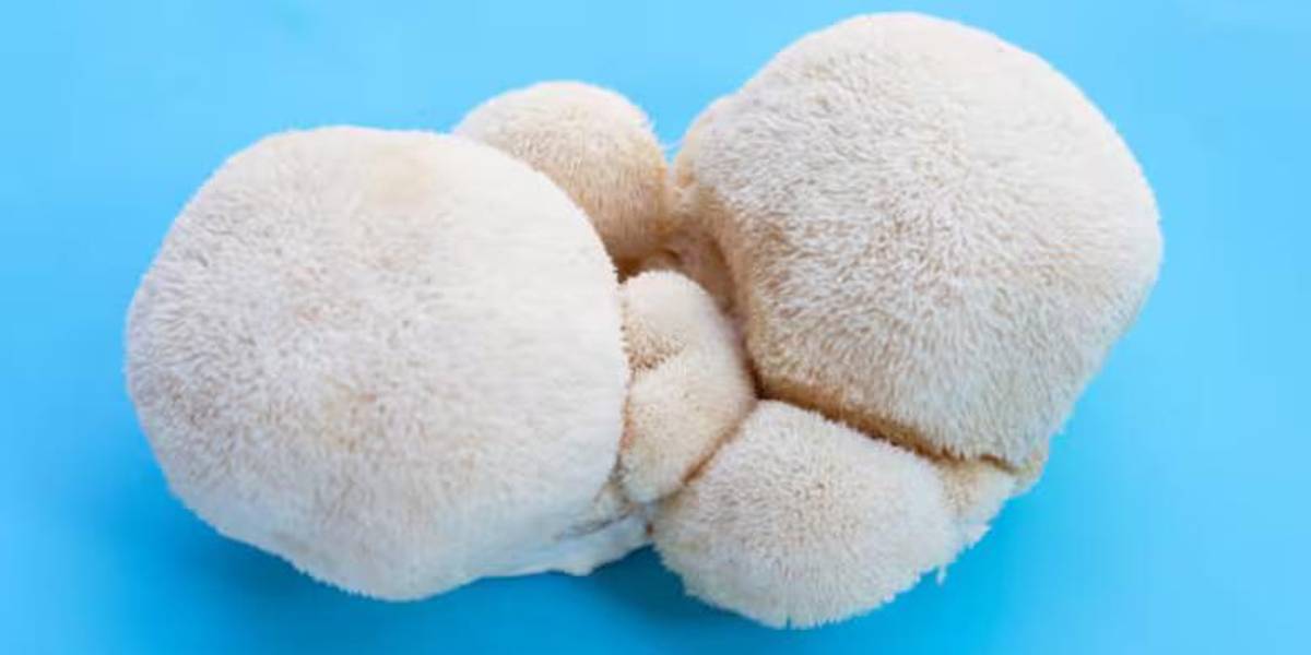 Científicos descubren un alimento con capacidad de regenerar las neuronas